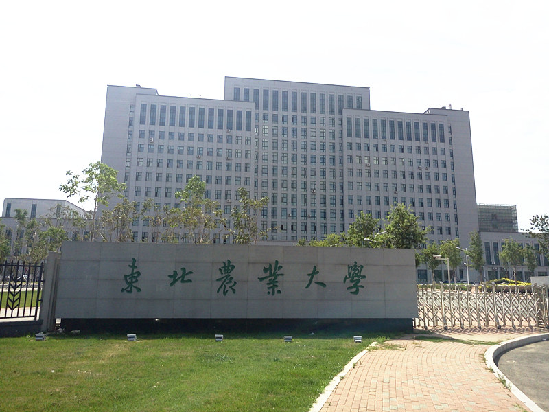 东北农业大学_副本_副本.jpg